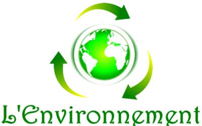 Entreprises de location de bennes en Gironde respectant l’environnement