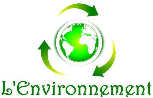 logo1png_64b7f61c864df4.43131784